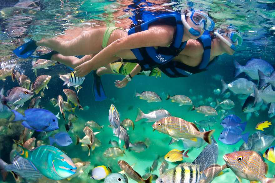 Xel Ha Park